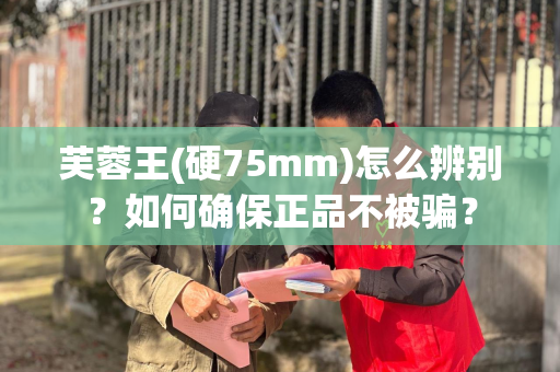芙蓉王(硬75mm)怎么辨别？如何确保正品不被骗？